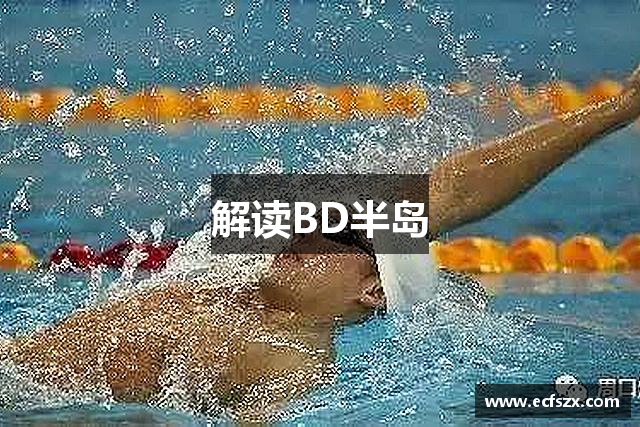 解读BD半岛